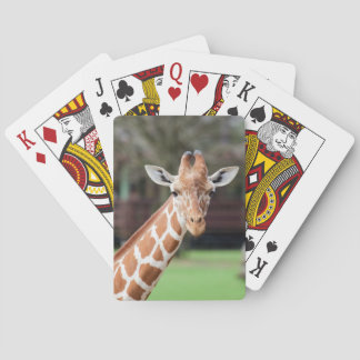 Jeu De Cartes Camelopard (girafe)