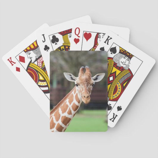 Jeu De Cartes Camelopard (girafe) (dos)