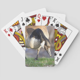 Jeu De Cartes Canada Goose