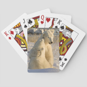 Jeu De Cartes Canada, Manitoba, Baie d'Hudson, Churchill.