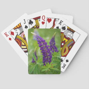 Jeu De Cartes Canada, Nouveau-Brunswick, .