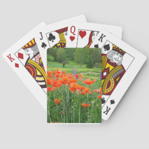 Jeu De Cartes Canada, Nouveau-Brunswick, . Paysage