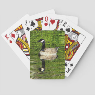 Jeu De Cartes (Canada) Oie verte