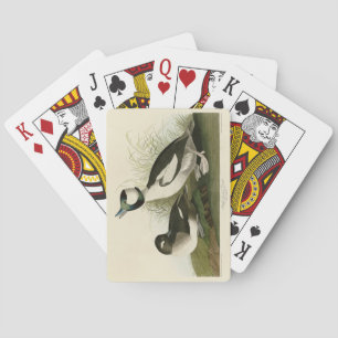 Jeu De Cartes Canard à tête de buffle des oiseaux d'Amérique d'A