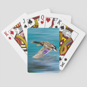 Jeu De Cartes Canard colvert volant