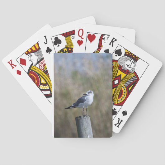 Jeu De Cartes Capsule à la poste (dos)