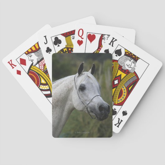 Jeu De Cartes Capture d'écran du cheval arabe 1 (dos)