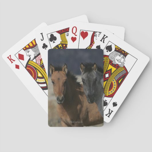 Jeu De Cartes Capture d'écran du poulal Mustang (dos)