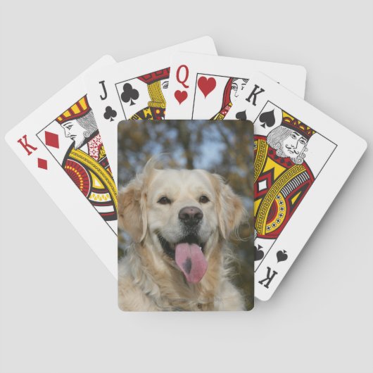 Jeu De Cartes Capture d'écran Golden Retriever 3 (dos)