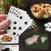 Jeu De Cartes Capybara (In Situ)