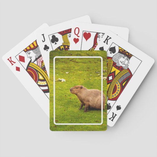 Jeu De Cartes Capybara (dos)