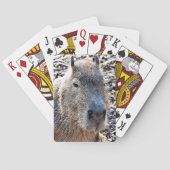 JEU DE CARTES CAPYBARA ANIMAL SAUVAGE (dos)