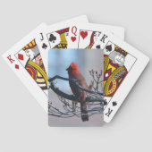Jeu De Cartes Cardinal (dos)
