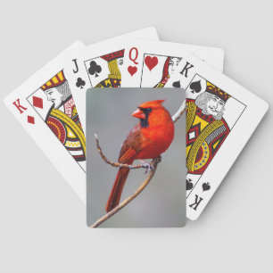 Jeu De Cartes Cardinal Cardinal