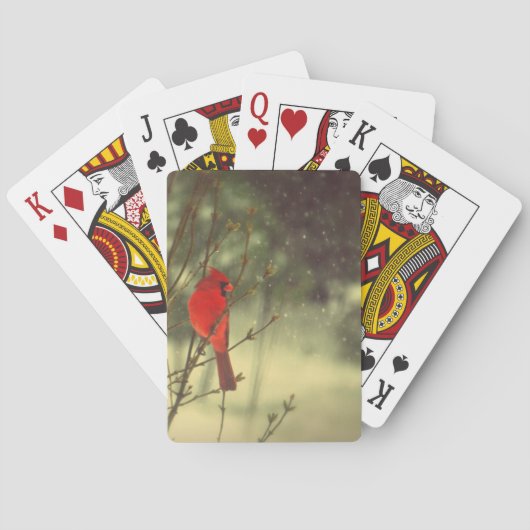 Jeu De Cartes Cardinal masculin (dos)