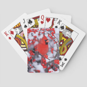 Jeu De Cartes Cardinal rouge mâle, Hiver, IL