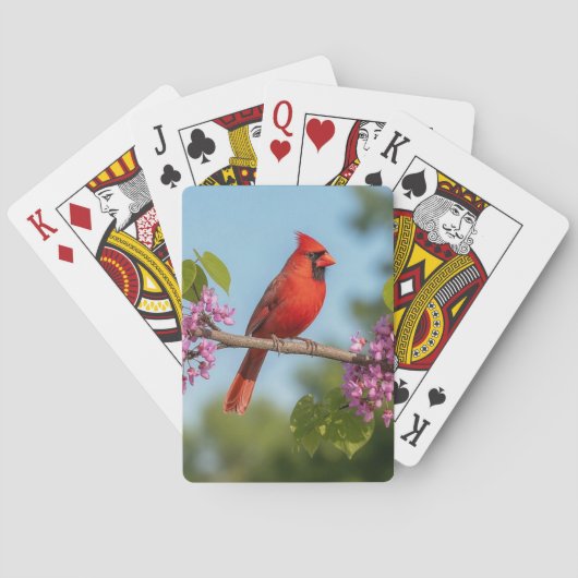 Jeu De Cartes Cardinal sur une branche de Redbud (dos)