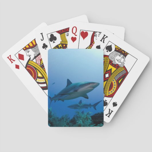 Jeu De Cartes Caribbean Reef Shark (dos)