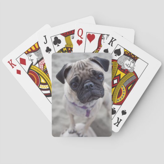Jeu De Cartes Carlin (dos)