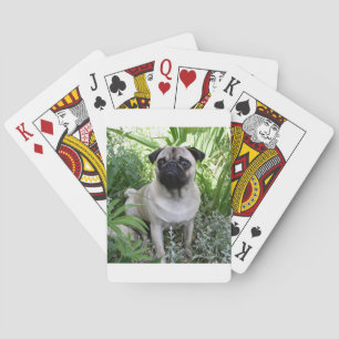 Jeu De Cartes carlin assis