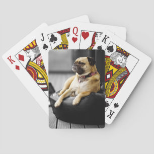 Jeu De Cartes Carlin au repos