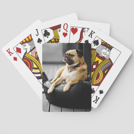 Jeu De Cartes Carlin au repos (dos)