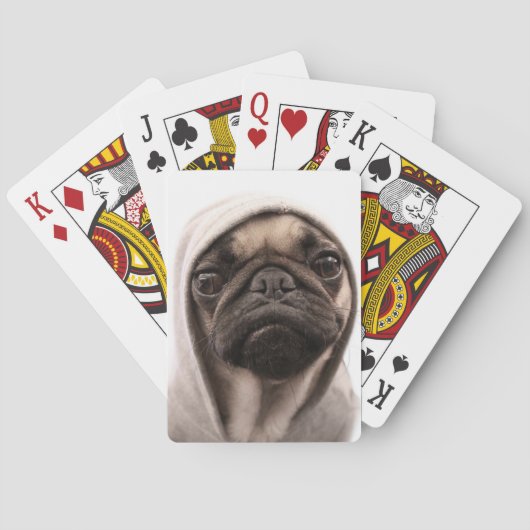 Jeu De Cartes Carlin dans un sweat - shirt à capuche (dos)