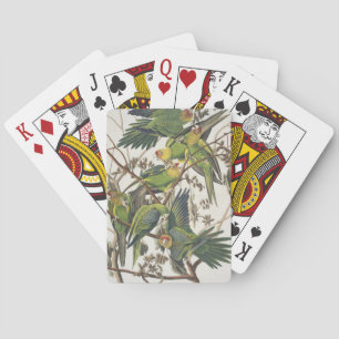 Jeu De Cartes Carolina Parakeet, de 'Birds of America', 1829