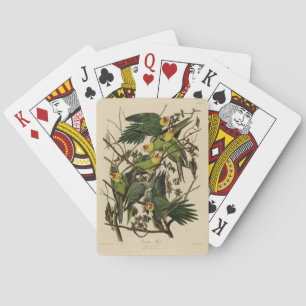 Jeu De Cartes Carolina Parrot de Audubon's Birds of America