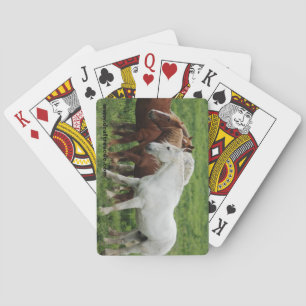 Jeu De Cartes Carte à jouer à cheval