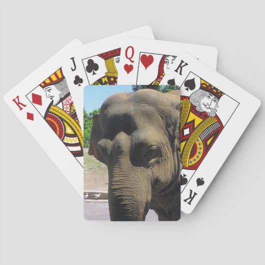 Jeu De Cartes Carte éléphante (dos)