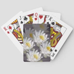 Jeu De Cartes Carte Jouer Cartes White Wild Water Lily Image