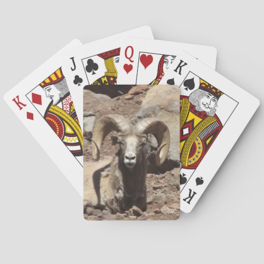 Jeu De Cartes Cartes (dos)