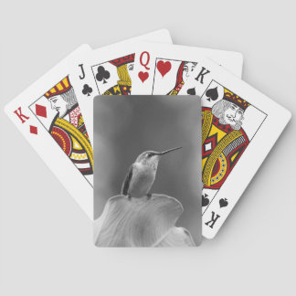 Jeu De Cartes Cartes classiques colibri