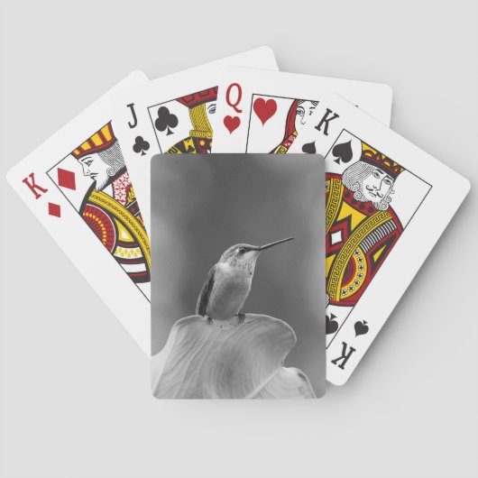 Jeu De Cartes Cartes classiques colibri (dos)