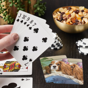 Jeu De Cartes Cartes cyclables personnalisées King Charles Caval