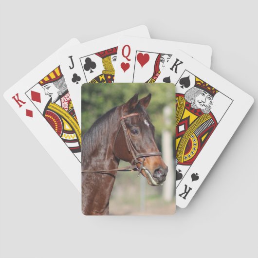 Jeu De Cartes Cartes de cheval (dos)