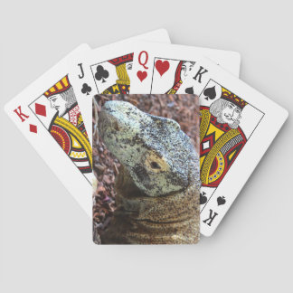 Jeu De Cartes Cartes de dragon de Komodo