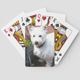 Jeu De Cartes Cartes de jeu adorables de Westie