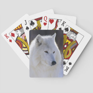 Jeu De Cartes Cartes de jeu arctiques de loup blanc