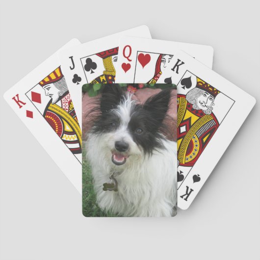 Jeu De Cartes Cartes de jeu avec des chiens (dos)