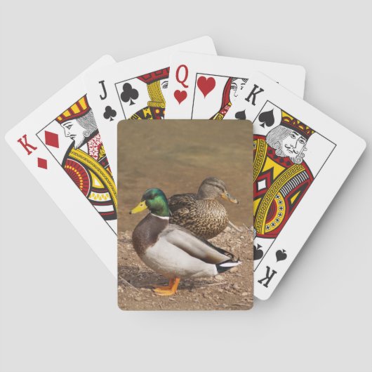 Jeu De Cartes Cartes de jeu de canards de Mallard (dos)