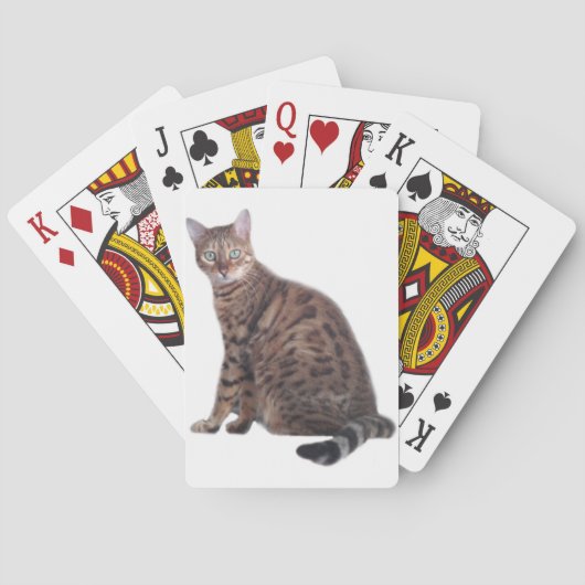Jeu De Cartes Cartes de jeu de chat du Bengale (dos)