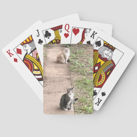 Jeu De Cartes Cartes de jeu de chats (dos)