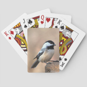 Jeu De Cartes Cartes de jeu de Chickadee