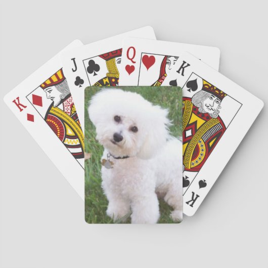 Jeu De Cartes Cartes de jeu de chien de Bichon Frise (dos)