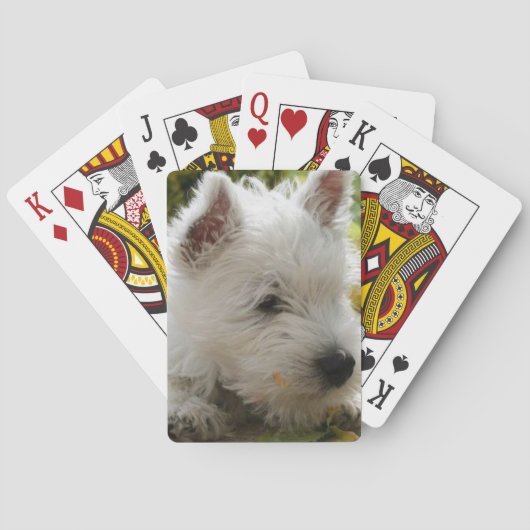 Jeu De Cartes Cartes de jeu de chien de Terrier blanc de (dos)