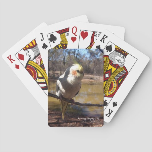 Jeu De Cartes Cartes De Jeu De Cuisine Cockatiel (dos)