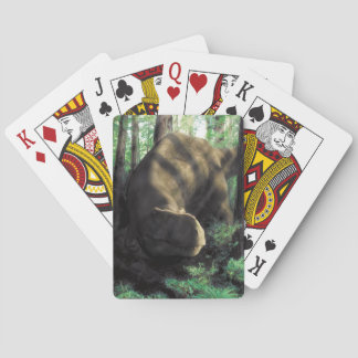 Jeu De Cartes Cartes de jeu de dinosaure