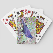 Cartes de jeu de freux